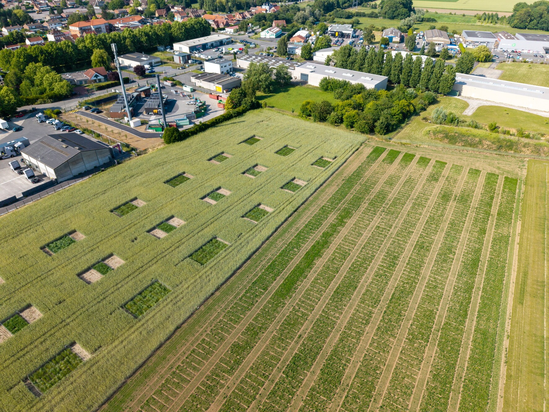 Station de recherche RAGT à Annoeullin