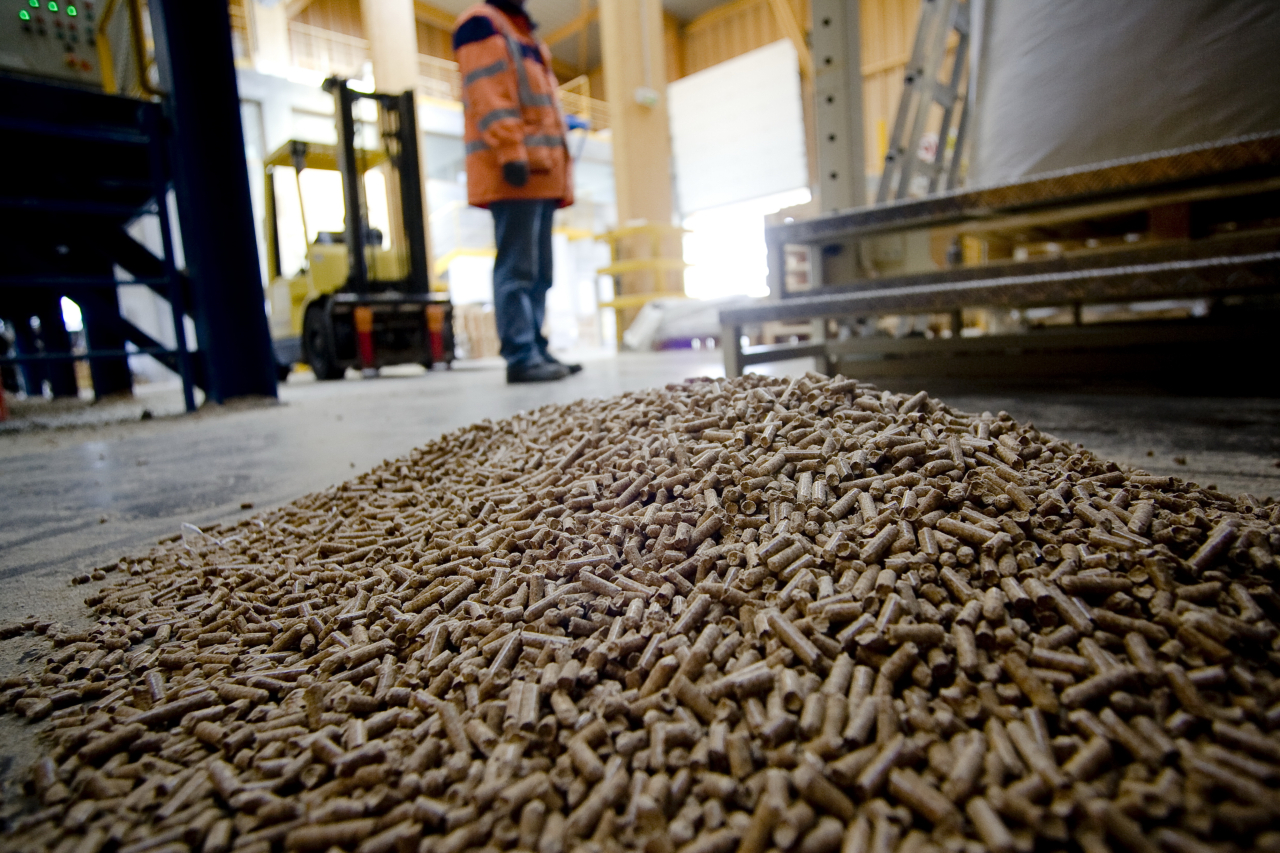 Usine pour la fabrication de granule pour les poeles a bois