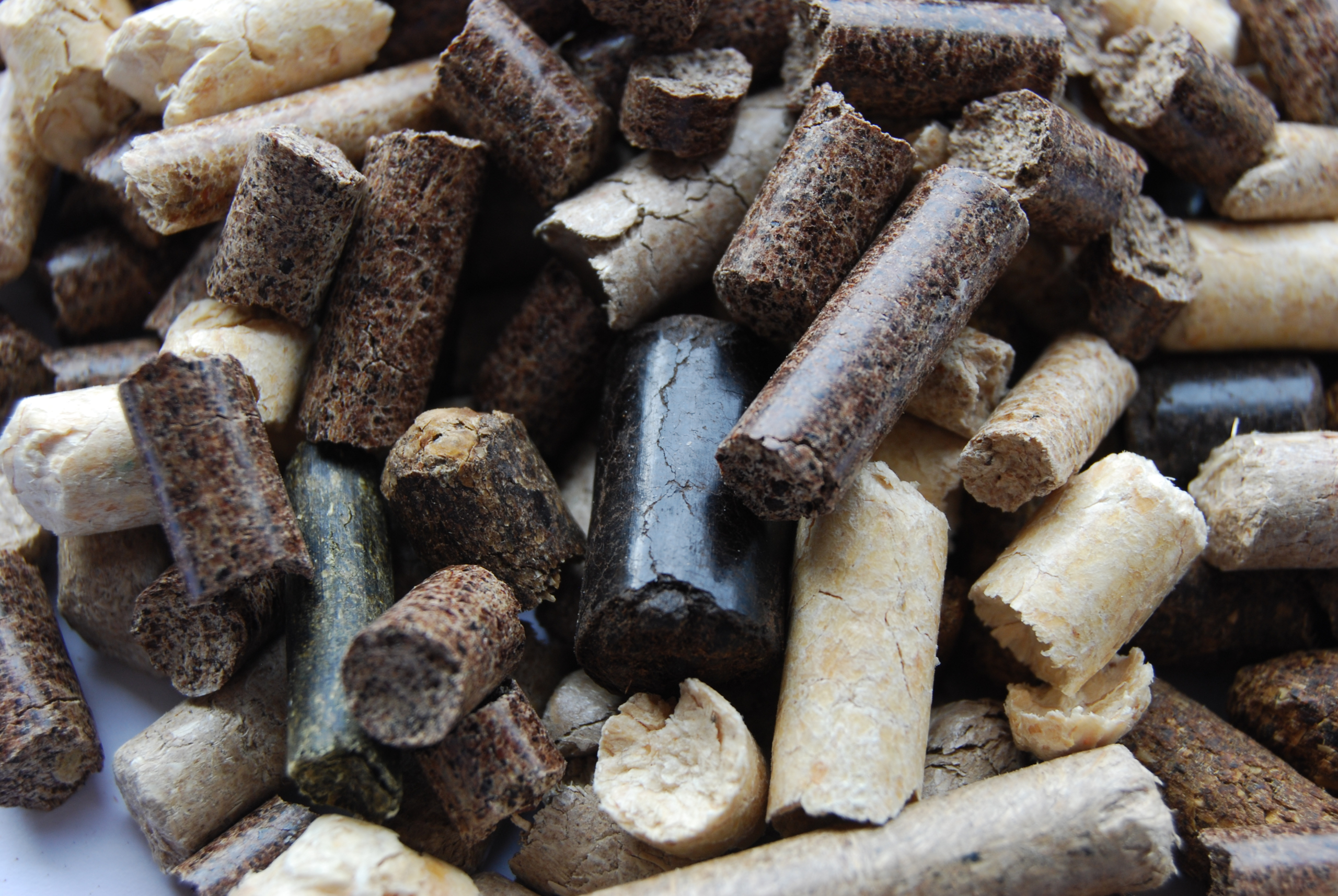 Agropellet Calys de RAGT Energie