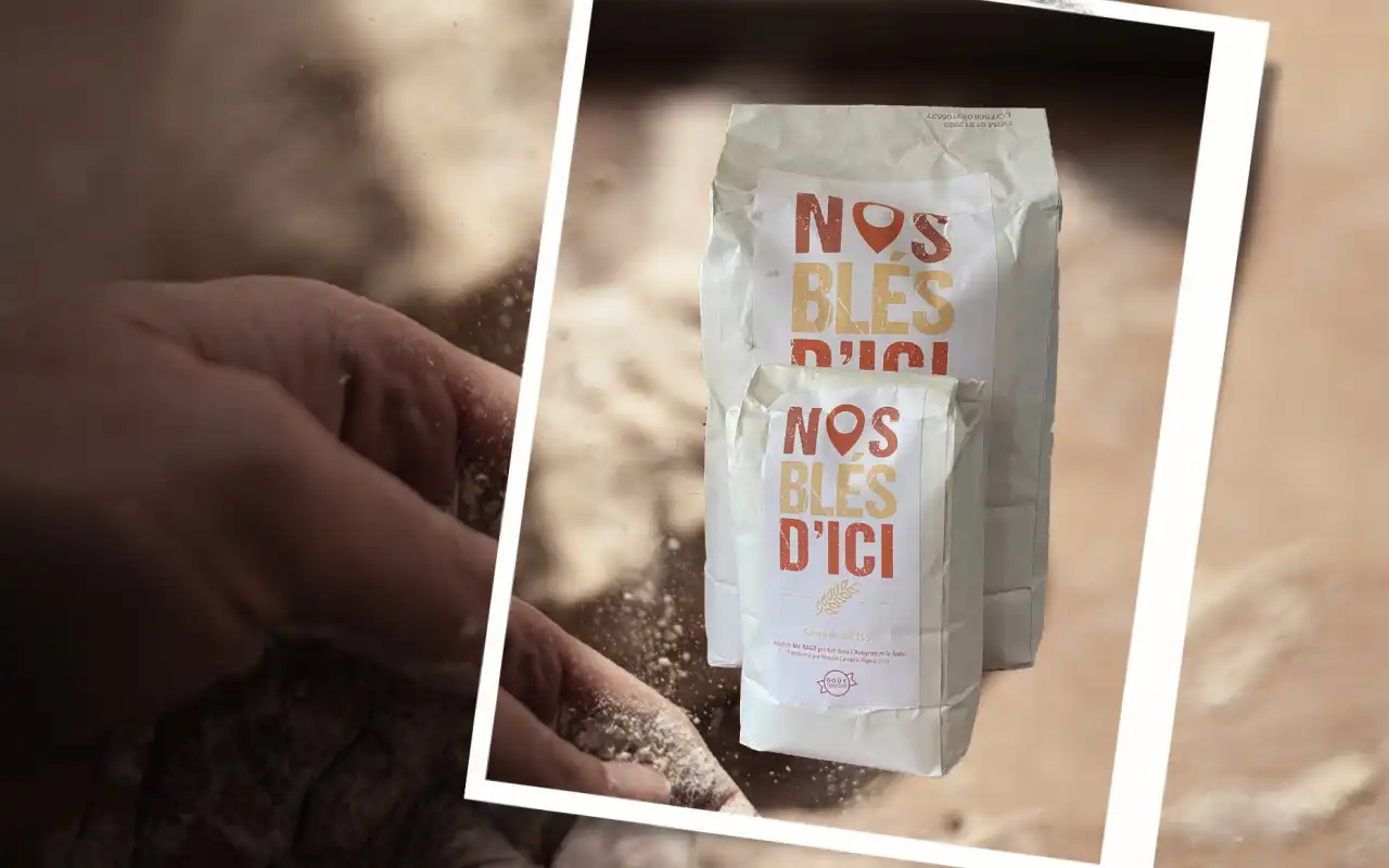 RAGT wheat flour Our home-grown wheat