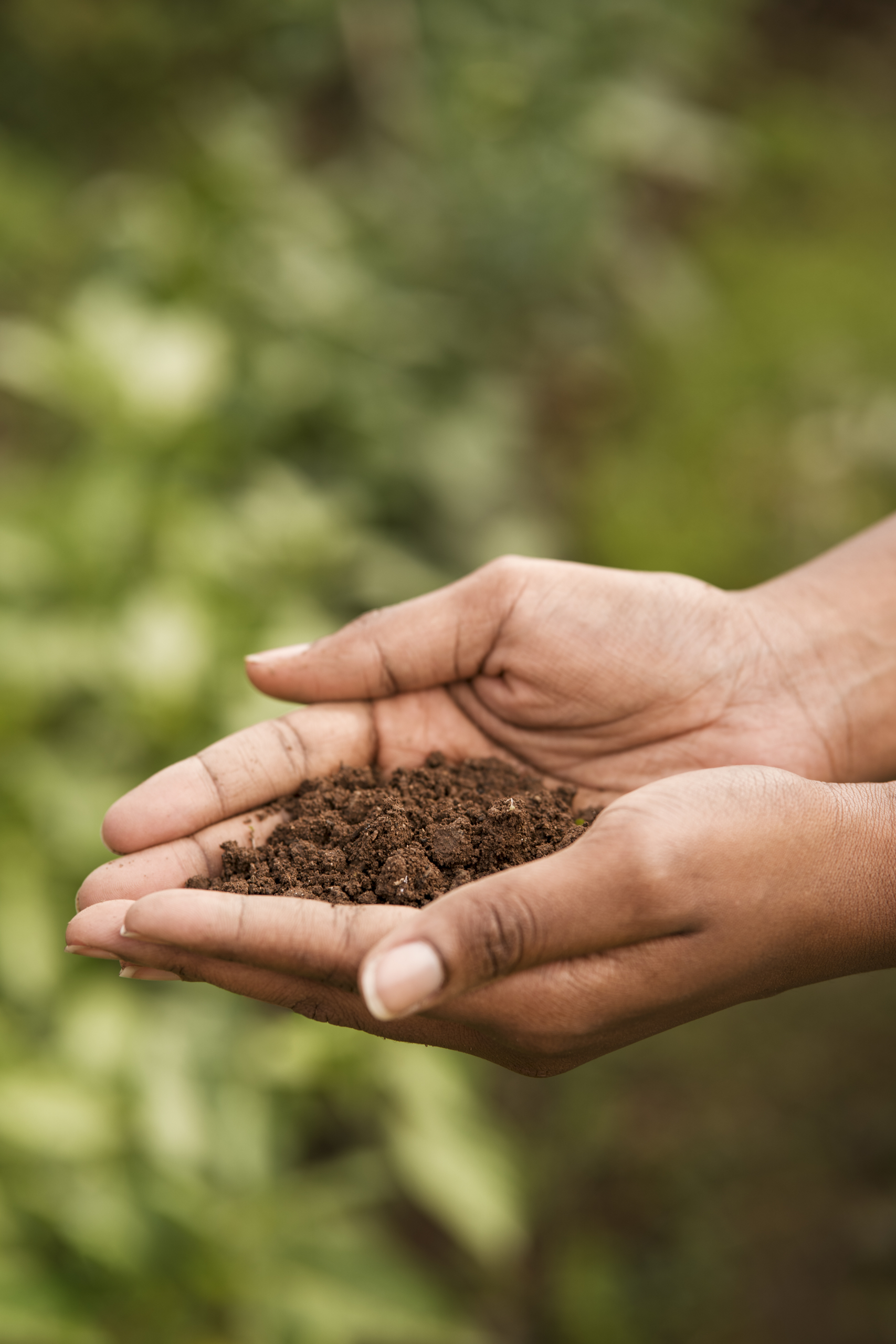Agroécologie : une approche globale pour produire autrement