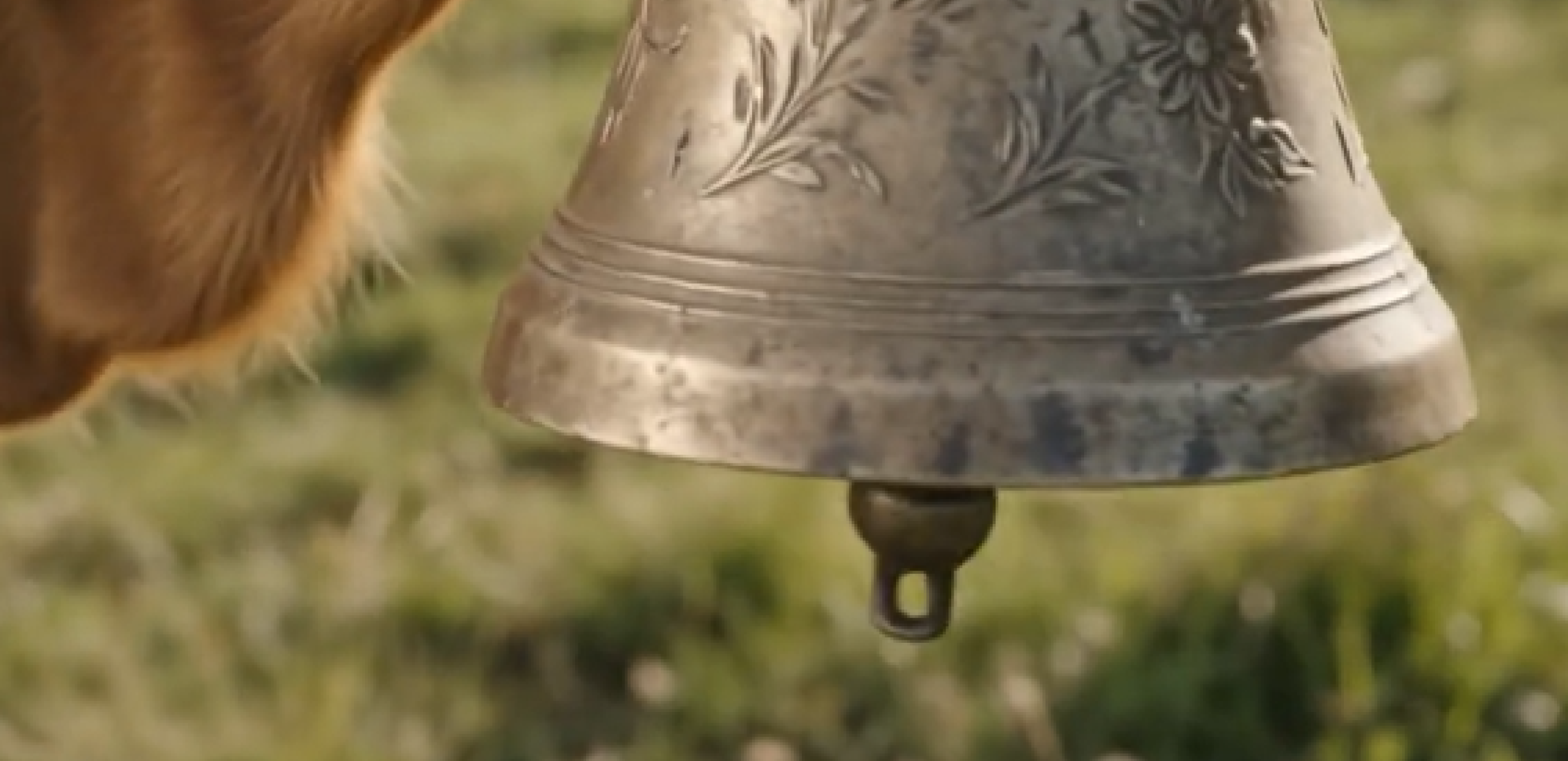 La cloche RAGT sonnera au Sommet de l'Elevage